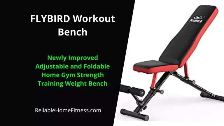 FLYBIRD Workout Bench – Newly Improved Adjustable and Foldable Home Gym Strength Training Weight Bench