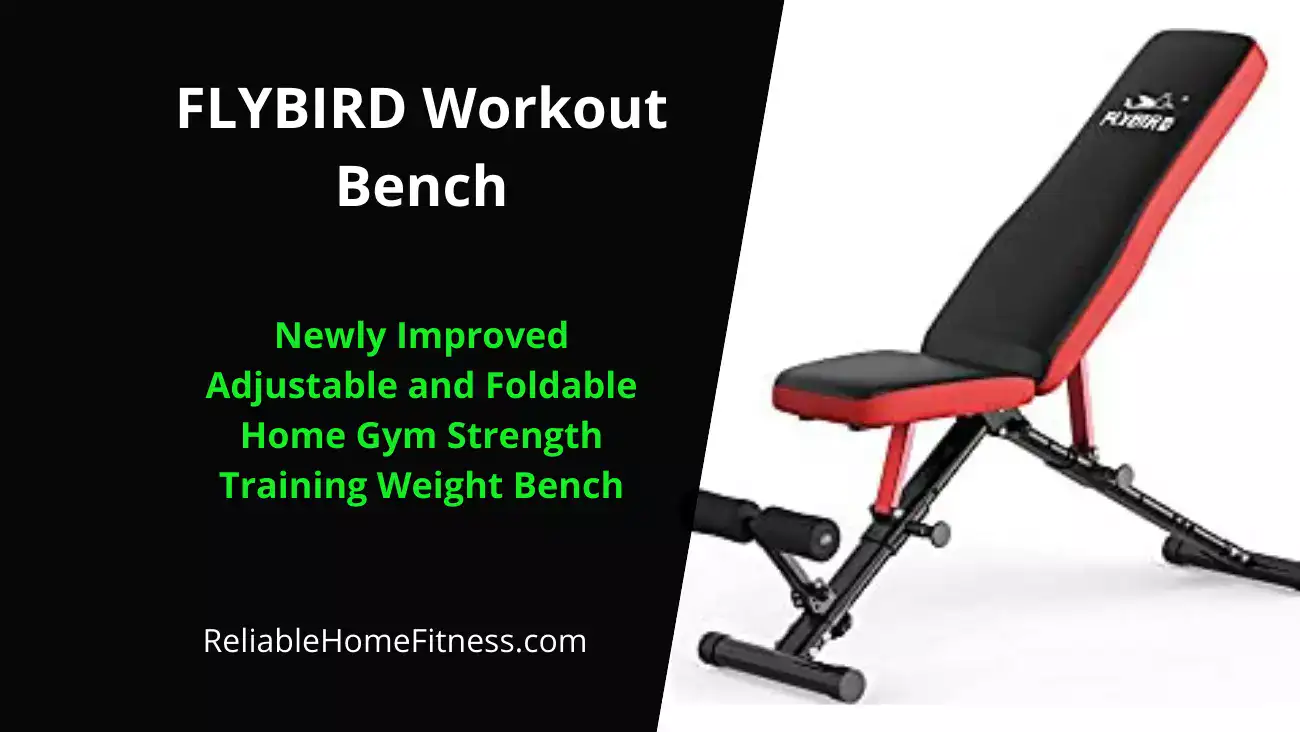 Flybird Workout Bench Featured Image