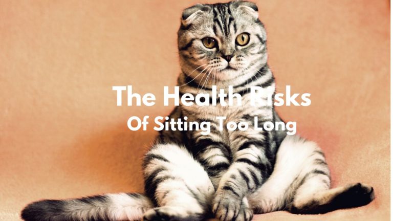 Health Risks Of Sitting Too Long Featured Image