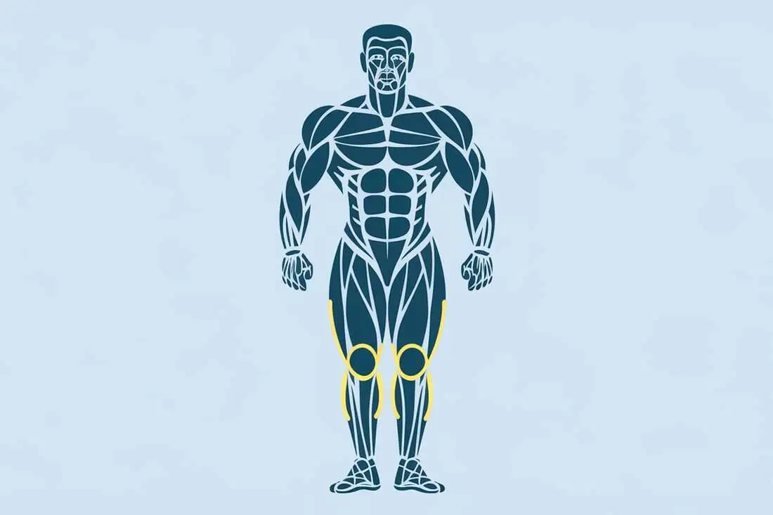 Icons highlighting the target muscles quads, hamstrings, calves, and glutes