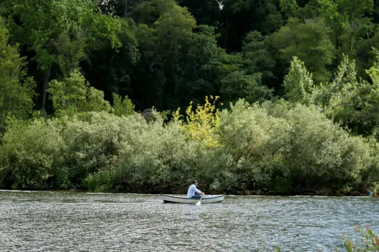 Rowing with Nature