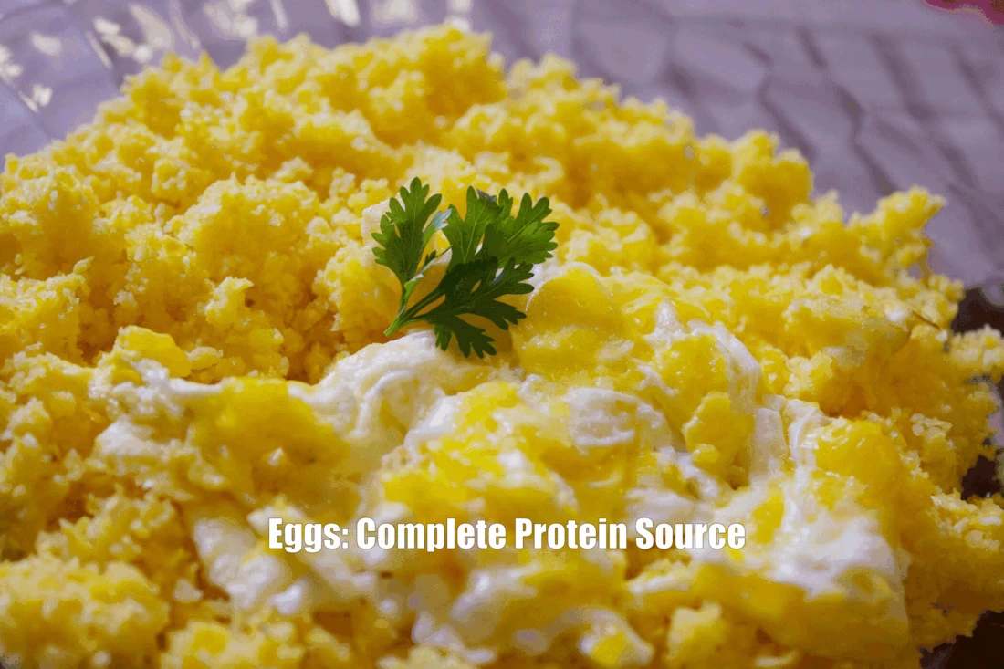 Scrambled eggs source of complete Protein