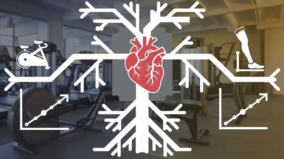 Side-by-side anatomical diagrams of the lower body, one for stationary bike use and one for leg press