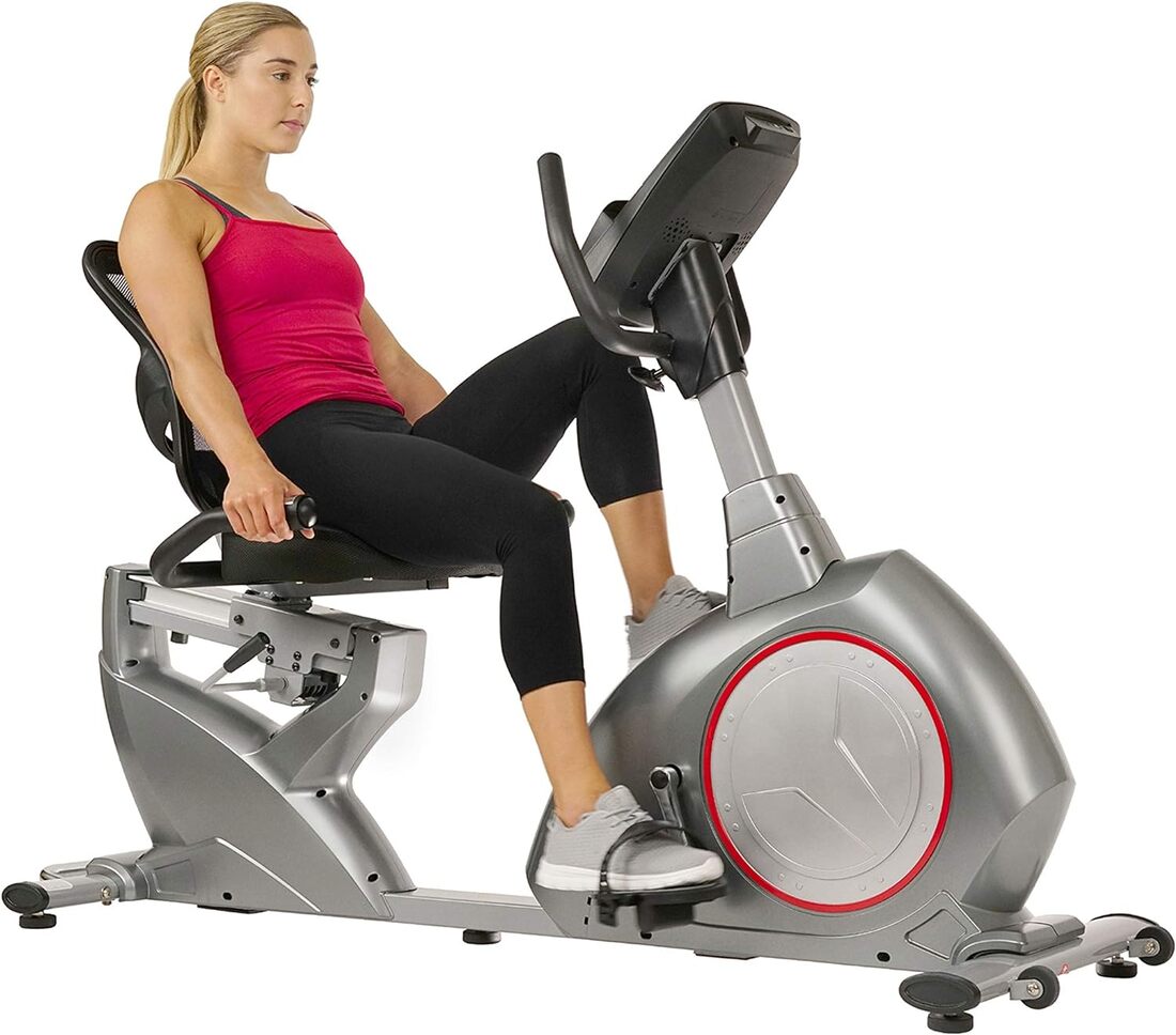 Sunny Health & Fitness Magnetic Recumbent Exercise Bike